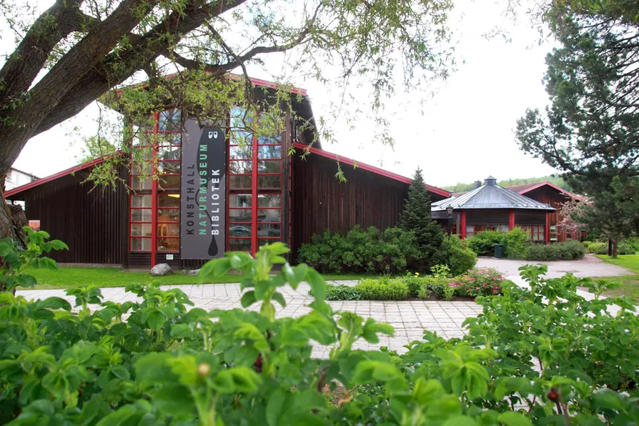 Rättviks kulturhus omgiven av sommargrönska